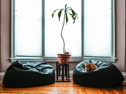 Black Beanbag